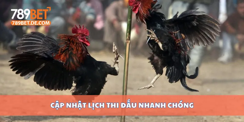 Cập nhật lịch thi đấu nhanh chóng