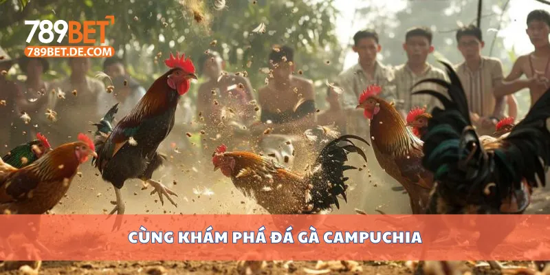 Xem Đá Gà Campuchia Hôm Nay Trực Tiếp Không Giật Lag 2 Cùng khám phá đá gà Campuchia