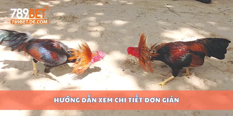 Xem Đá Gà Campuchia Hôm Nay Trực Tiếp Không Giật Lag 3 Hướng dẫn xem chi tiết đơn giản